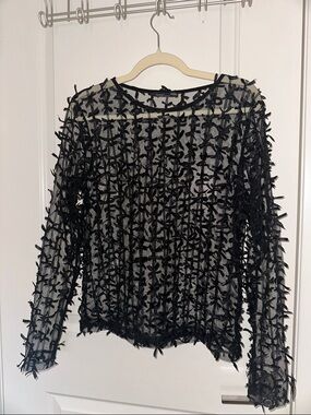 ZARA Black Sheer Long-Sleeve Top with Textured Ribbon Appliqués